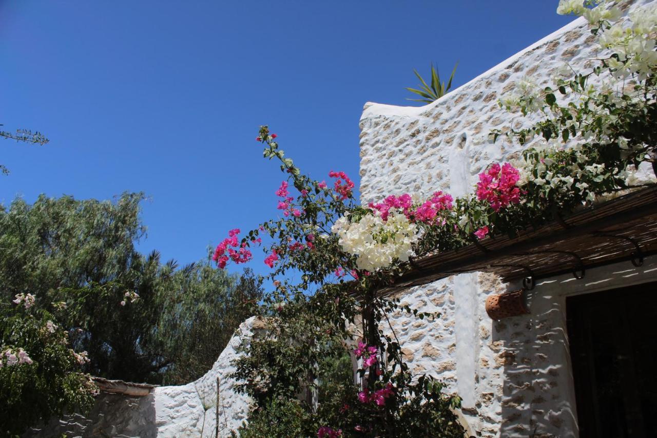 Riad Sanam الصويرة المظهر الخارجي الصورة