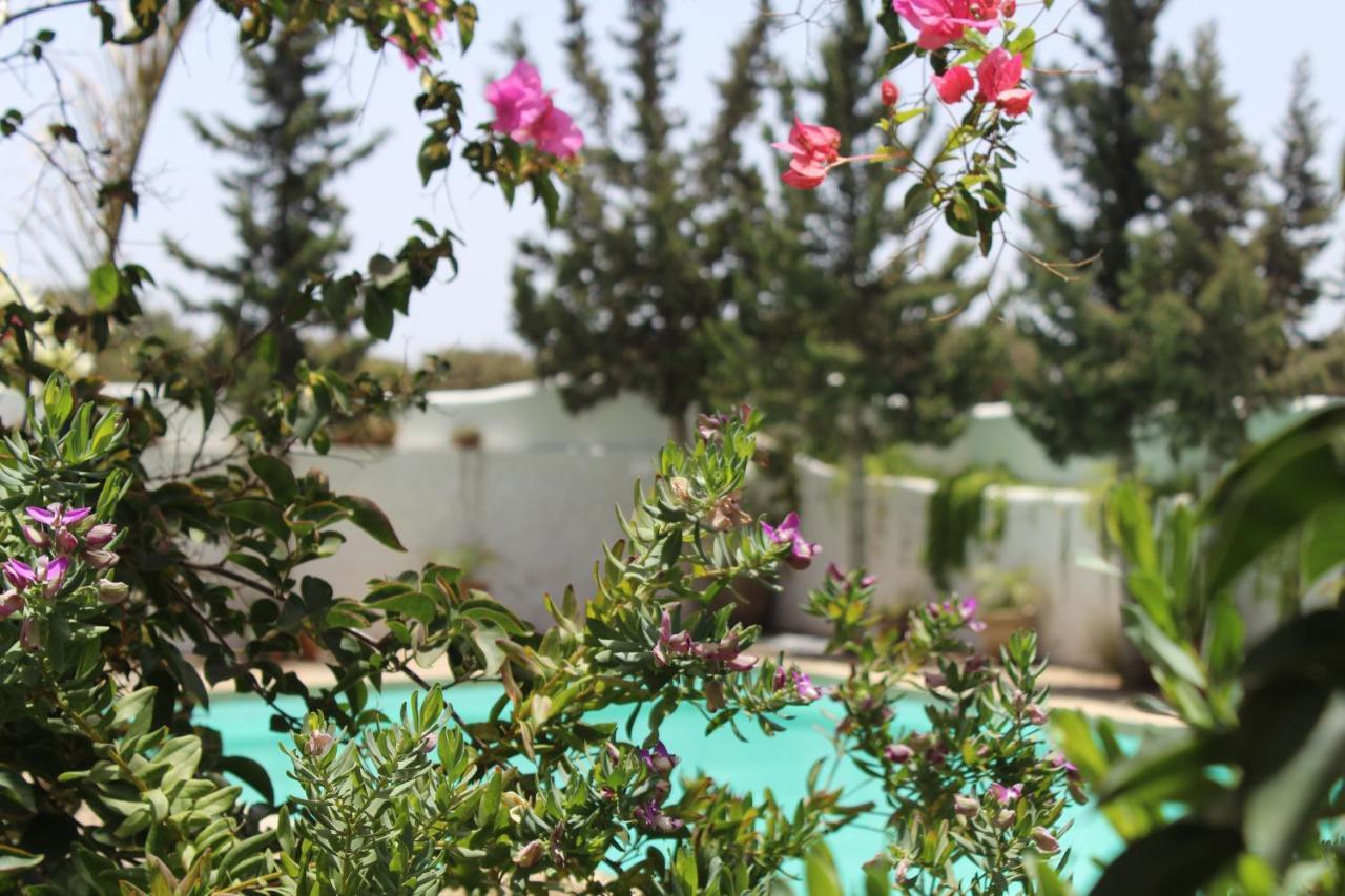 Riad Sanam الصويرة المظهر الخارجي الصورة