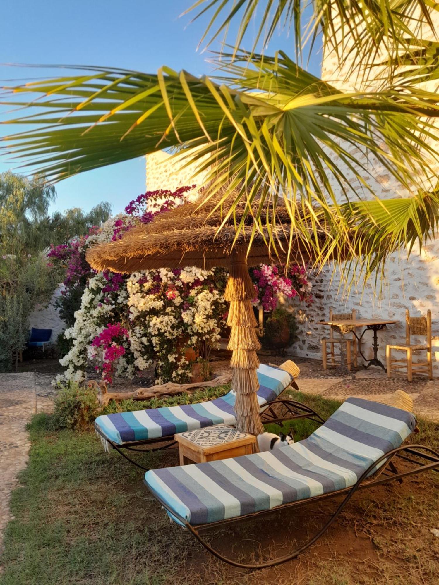 Riad Sanam الصويرة المظهر الخارجي الصورة