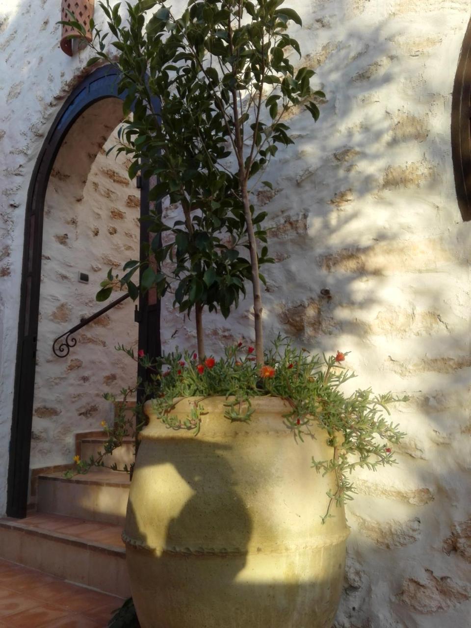 Riad Sanam الصويرة المظهر الخارجي الصورة