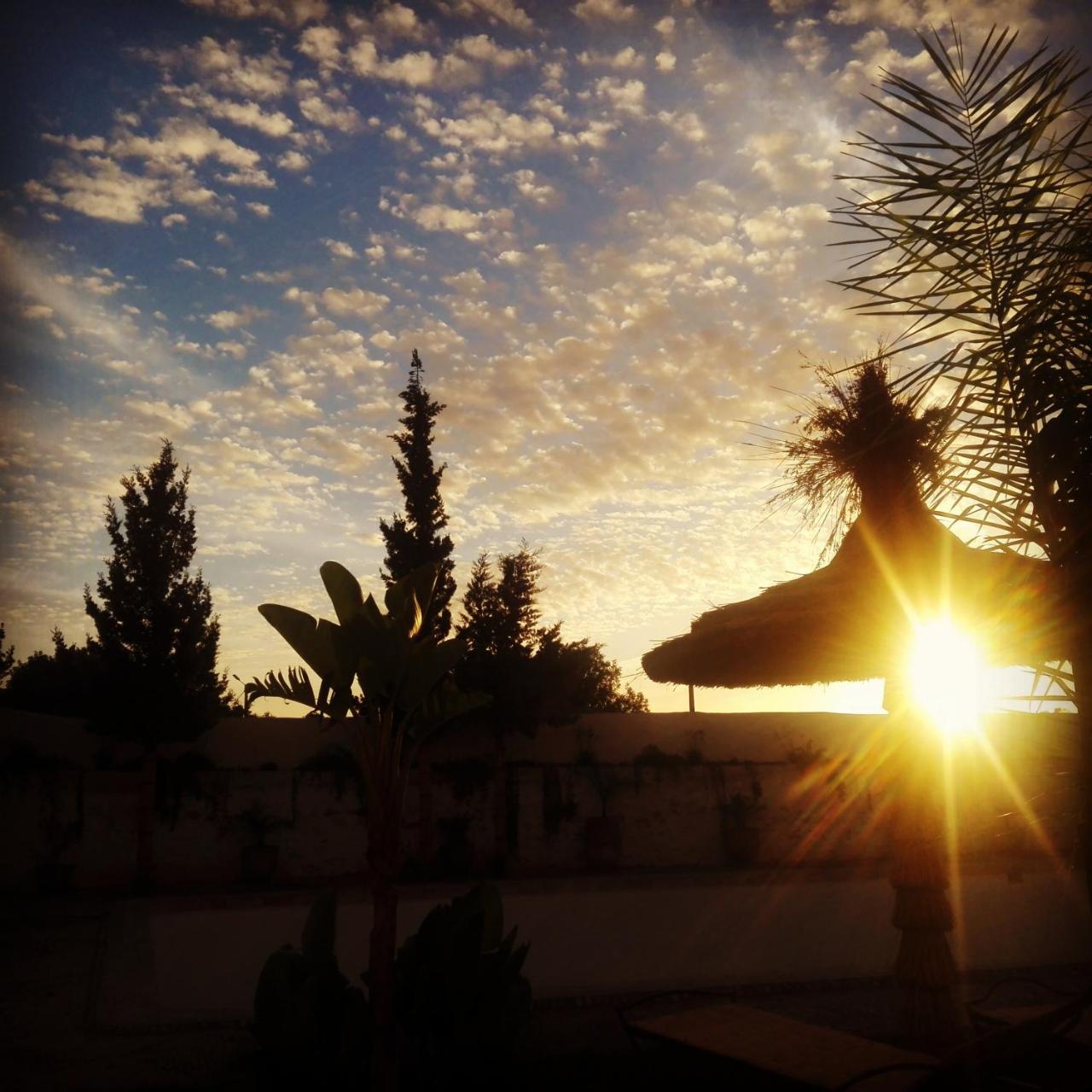 Riad Sanam الصويرة المظهر الخارجي الصورة